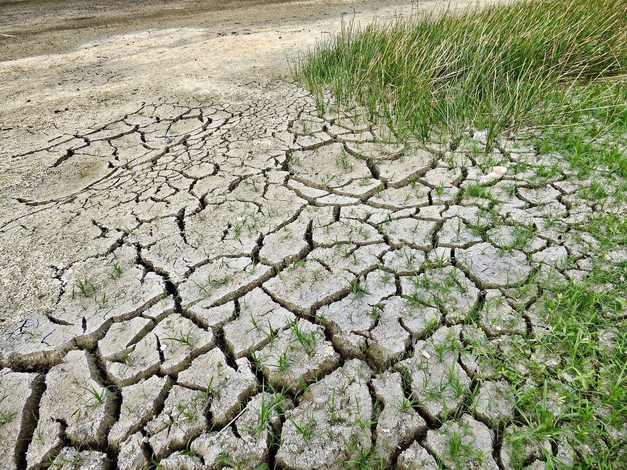 China fights against climate change with global allies