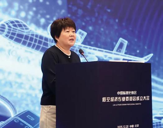 CAS establishes the committee on low-altitude economy